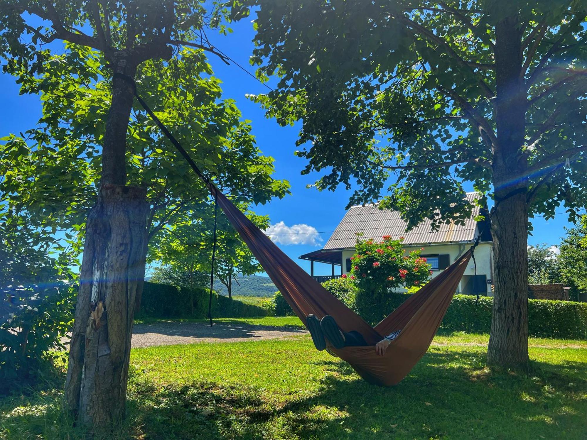 Apartman Cherry Plitvice Lakes イリノヴァク エクステリア 写真